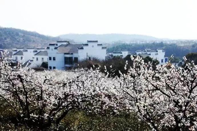 密室逃脱3之办公大厦