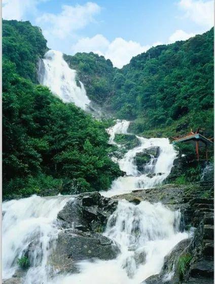 深海鱼救援